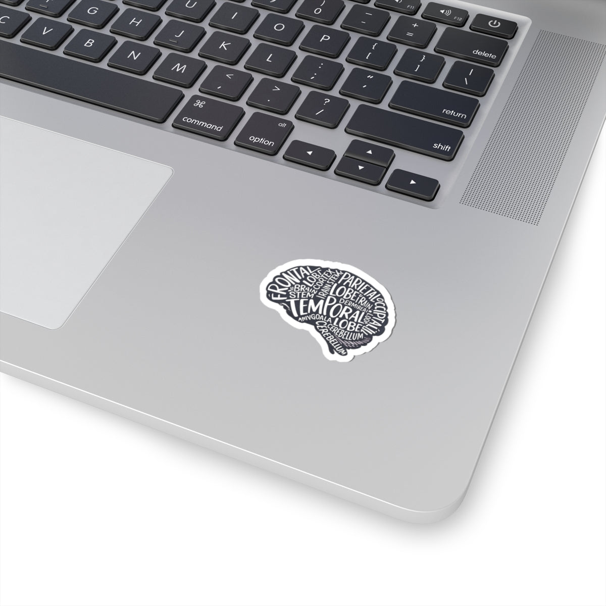 Brain Anatomy Sticker