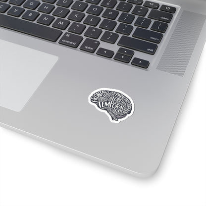 Brain Anatomy Sticker