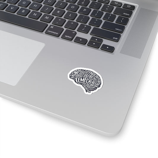 Brain Anatomy Sticker