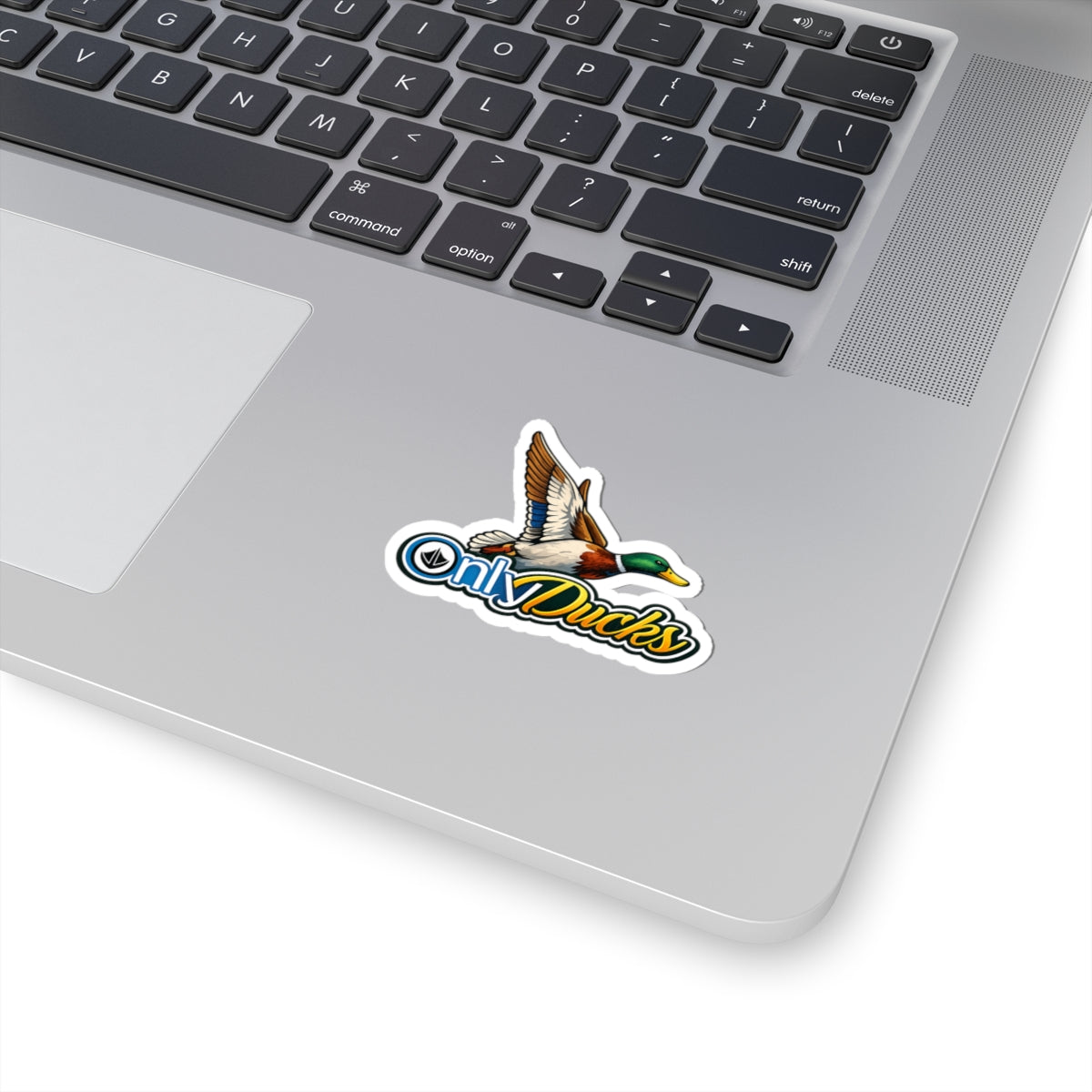 Only Ducks (Colored)- Sticker