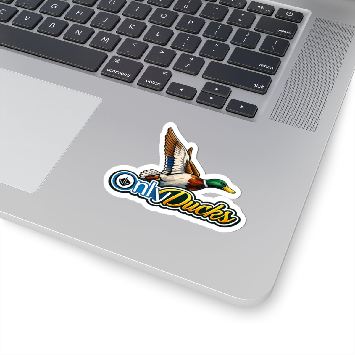 Only Ducks (Colored)- Sticker