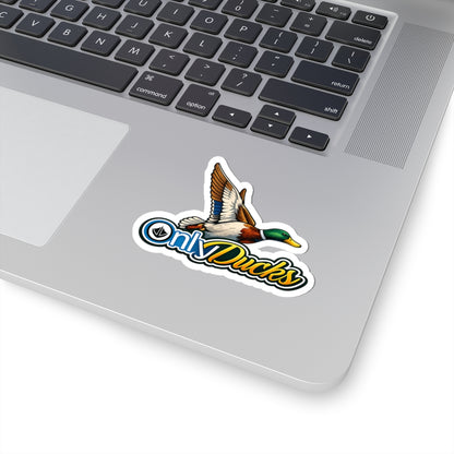 Only Ducks (Colored)- Sticker