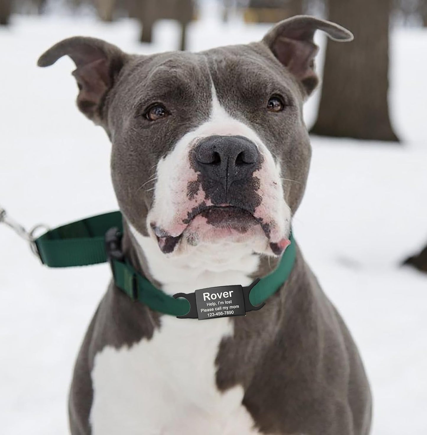 Slide-On Collar Pet ID Tag