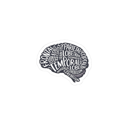 Brain Anatomy Sticker