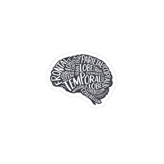 Brain Anatomy Sticker