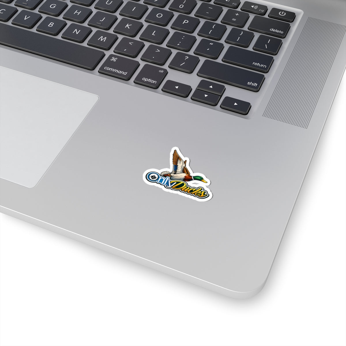 Only Ducks (Colored)- Sticker